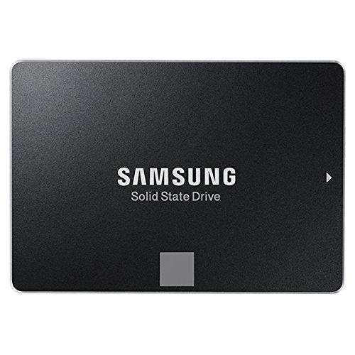 Samsung 850 EVO 1TB 2.5-Inch SATA III Internal SSD (MZ-75E1T0B/AM) 