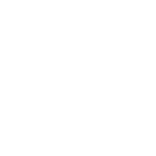 Branding Services