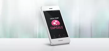Mobile Secure Workspace